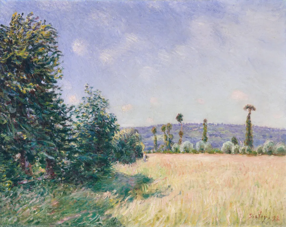 Sahurs Meadows in Morning Sun (1894) by Alfred Sisley